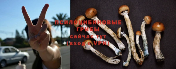 шишки Верхний Тагил