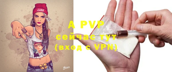шишки Верхний Тагил