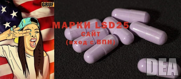 шишки Верхний Тагил