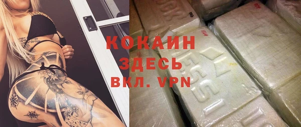 шишки Верхний Тагил