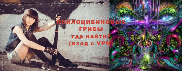 шишки Верхний Тагил