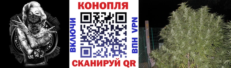 Каннабис THC 21%  цены   Новоржев 